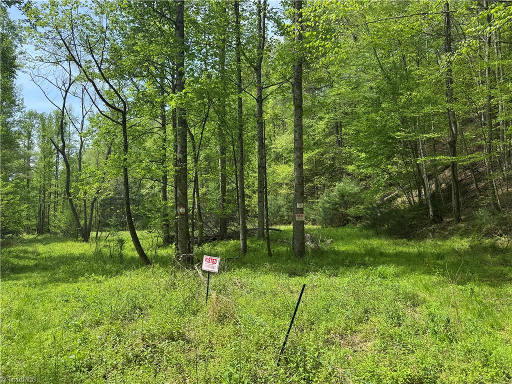 Tbd Tbd Wildcat Road Deep Gap, NC 28618 - Photo 4 of 31