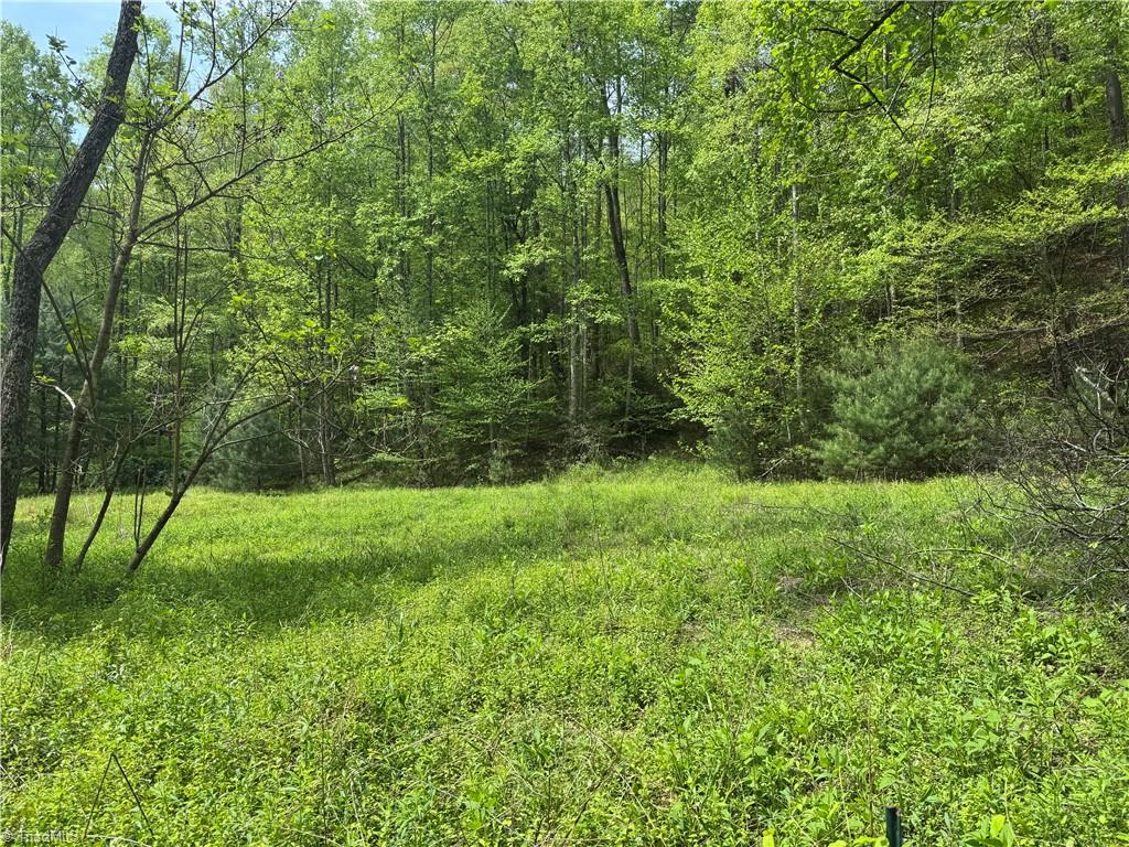 Tbd Tbd Wildcat Road Deep Gap, NC 28618 - Photo 5 of 31