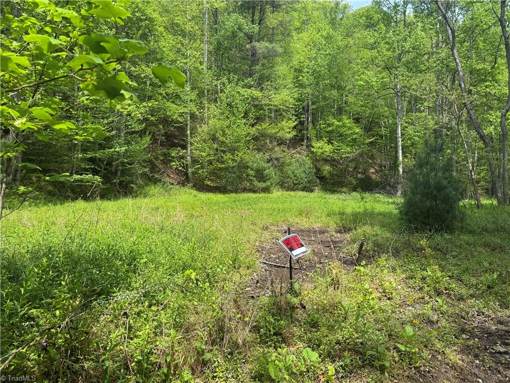 Tbd Tbd Wildcat Road Deep Gap, NC 28618 - Photo 6 of 31