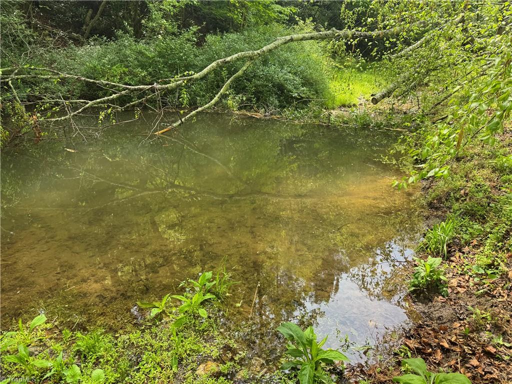 Tbd Tbd Wildcat Road Deep Gap, NC 28618 - Photo 7 of 31