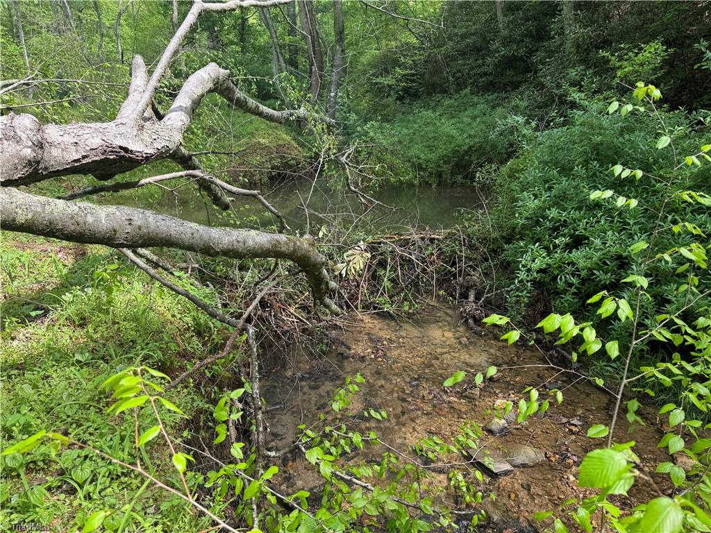 Tbd Tbd Wildcat Road Deep Gap, NC 28618 - Photo 8 of 31