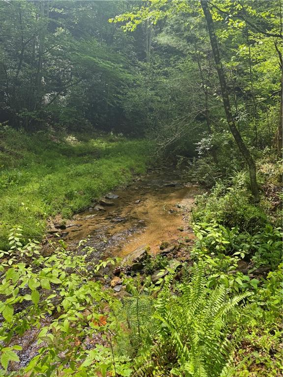 Tbd Tbd Wildcat Road Deep Gap, NC 28618 - Photo 9 of 31