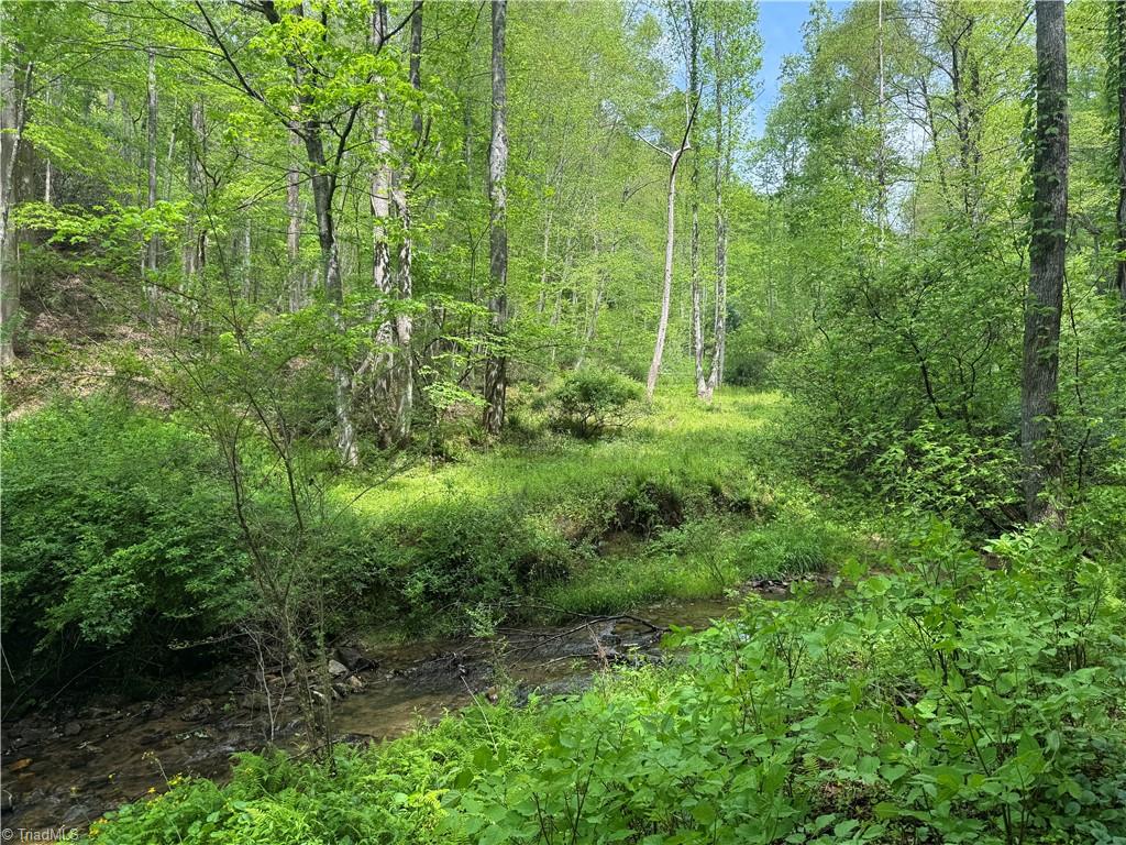 Tbd Tbd Wildcat Road Deep Gap, NC 28618 - Photo 10 of 31