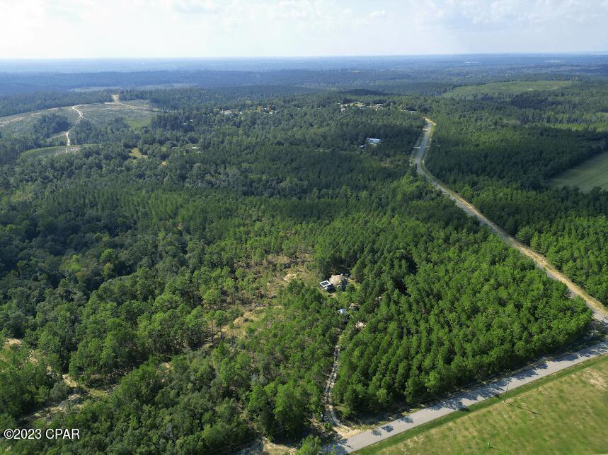 90 Ed Jones Road Quincy, FL 32351 - Photo 6 of 14 Gallery Image 6