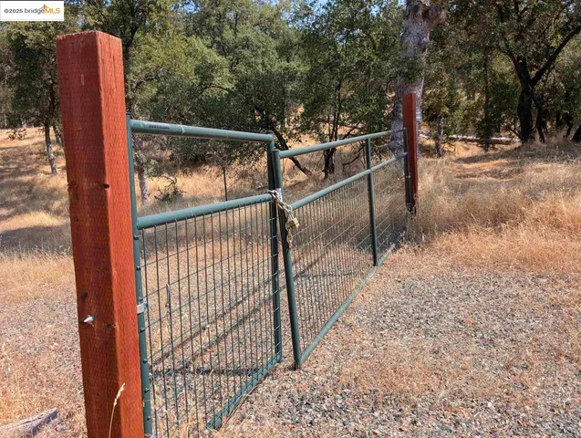 a view of outdoor space with garden