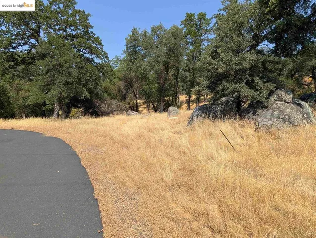 a view of a yard covered with snow in front of house