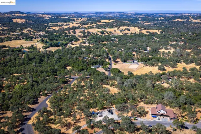a view of dirt yard with a tree