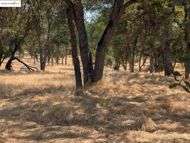 a view of snow on a yard