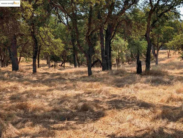 a view of snow on a field