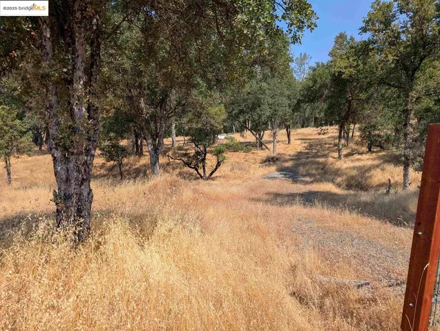 a view of snow on a field