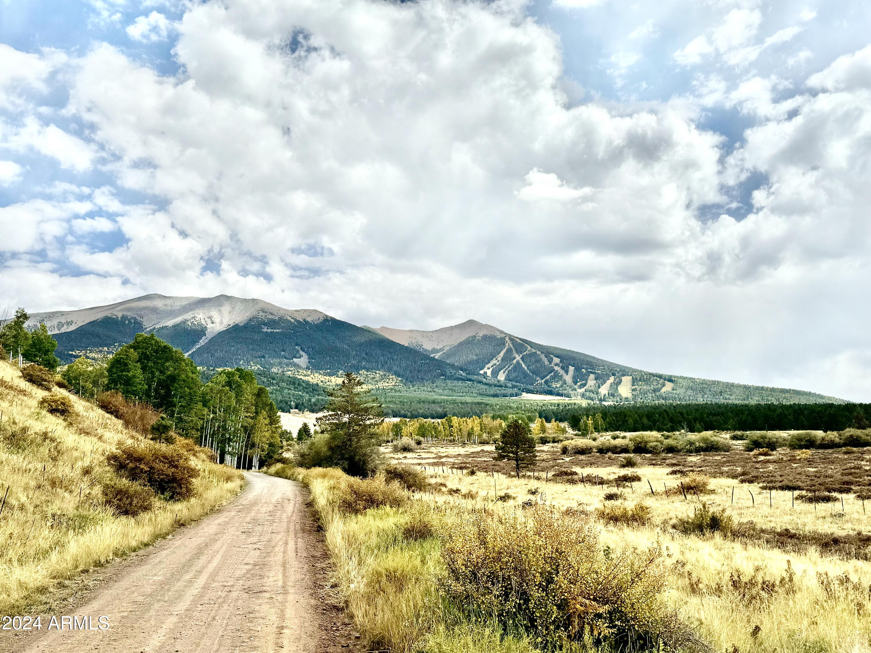1 Hart Praire Road Flagstaff, AZ 86001 - Photo 9 of 11 IMG_4836