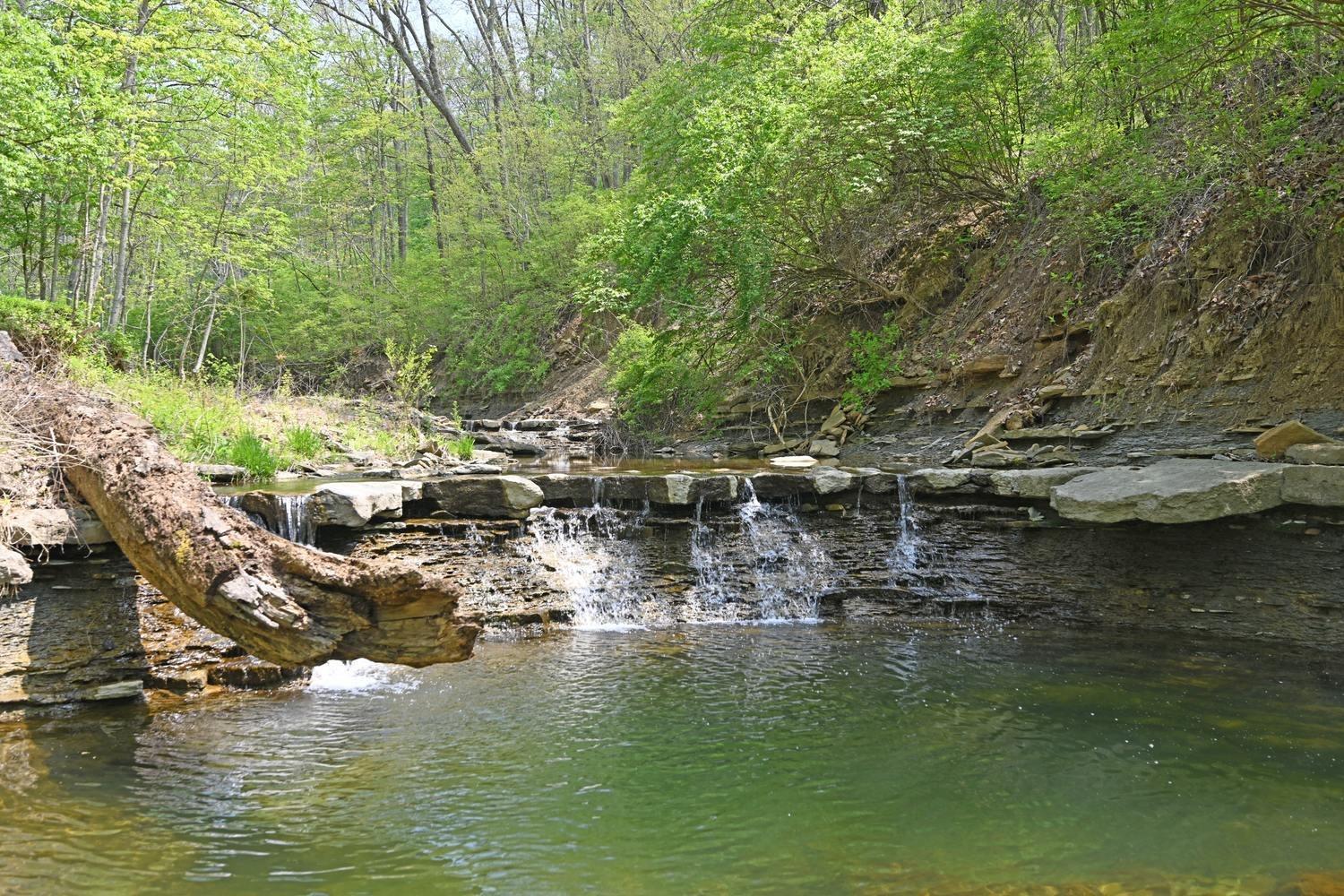 460 8 Mile Road Cincinnati, OH 45255 - Photo 6 of 50