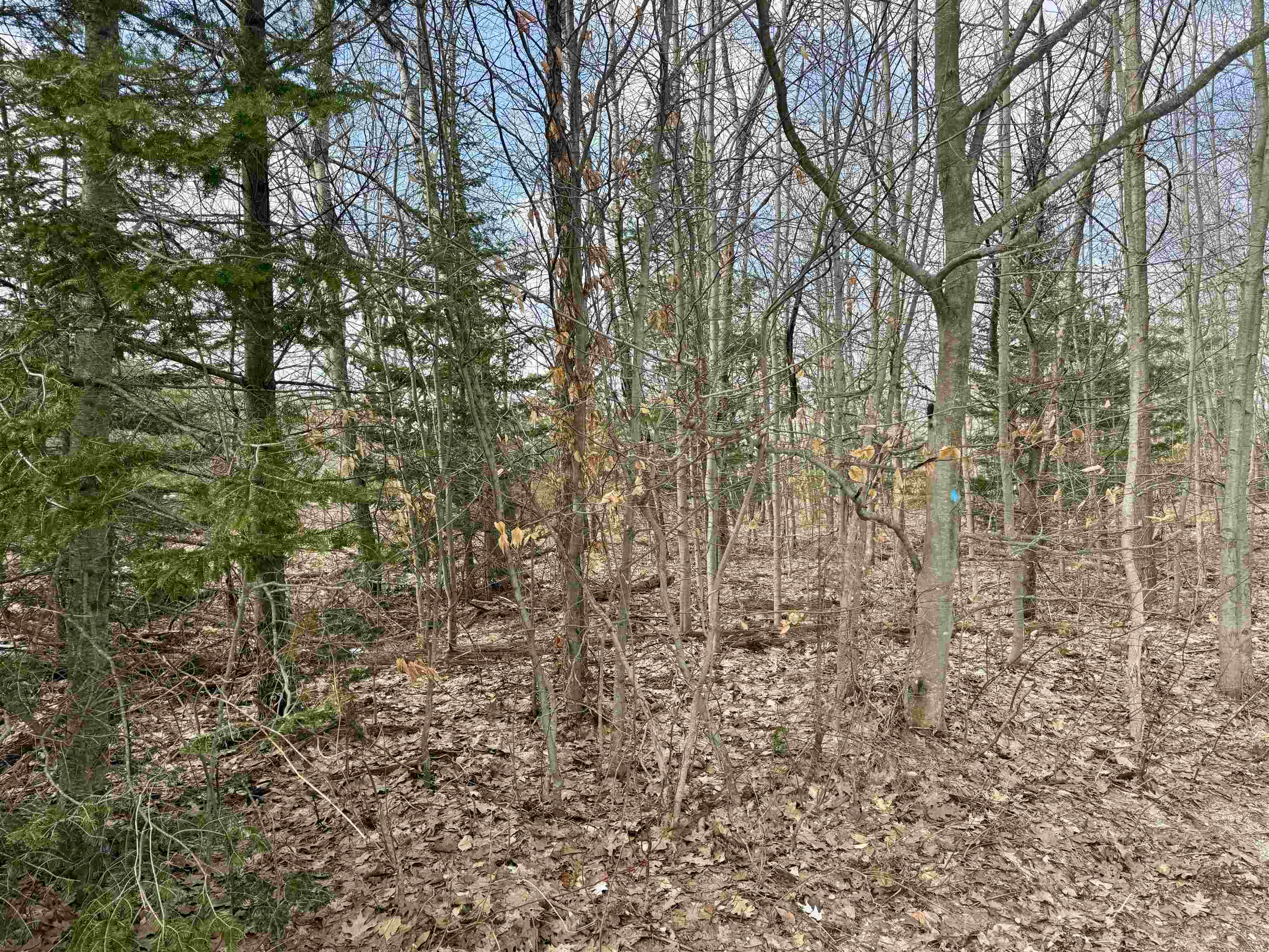 0 East Sandy Lane Cedar, MI 49621 - Photo 12 of 20