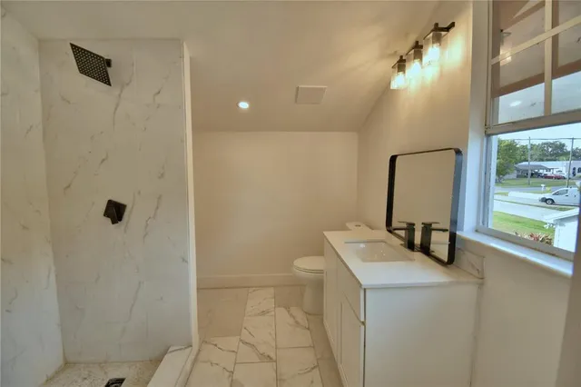 a bathroom with a sink a toilet and mirror