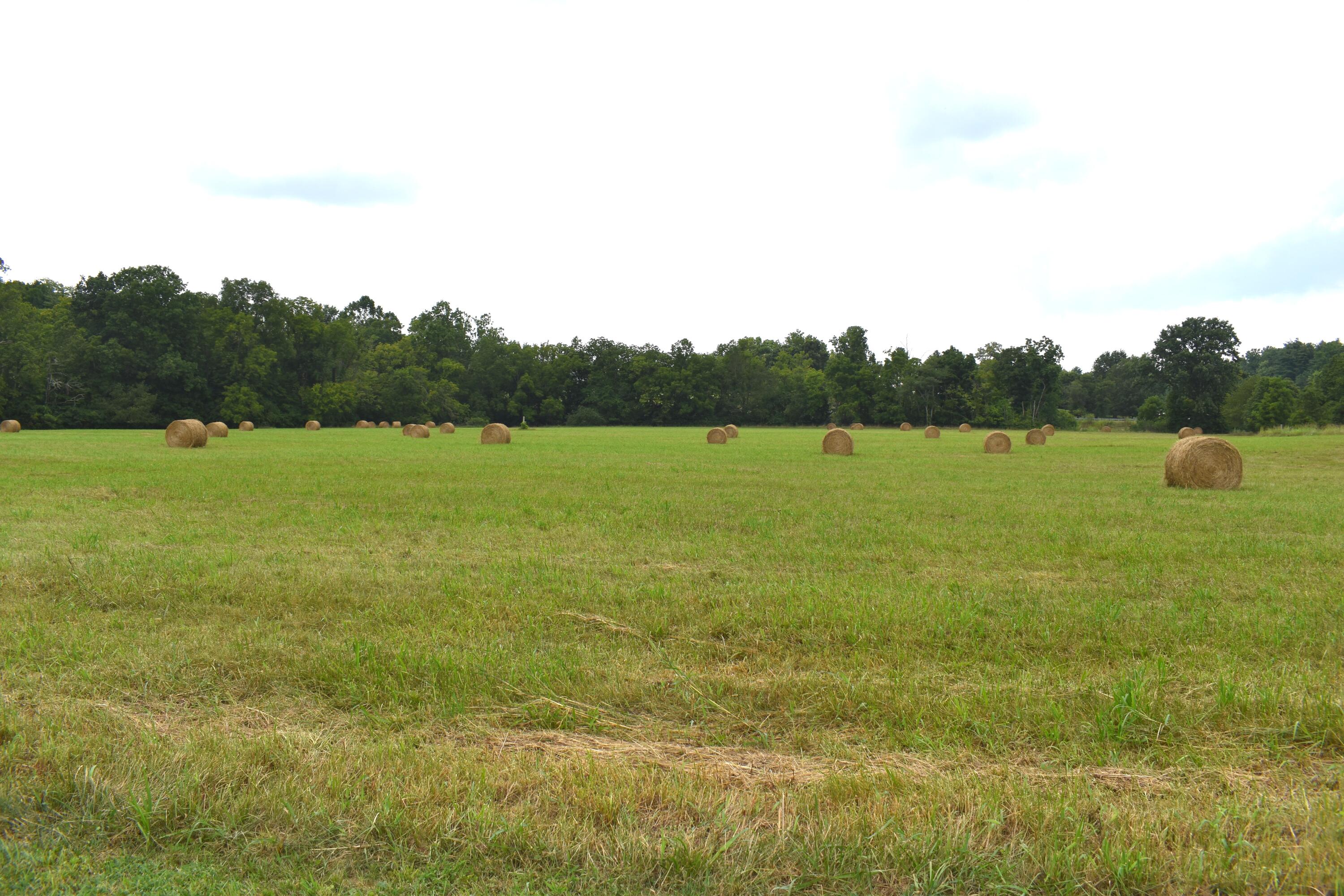 5591 Tates Creek Road Nicholasville, KY 40356 - Photo 11 of 69 DSC_0607
