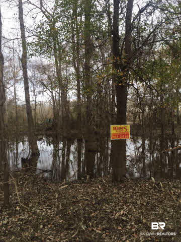8300 Bryant's Lndg Road Stockton, AL 36579 - Photo 2 of 4