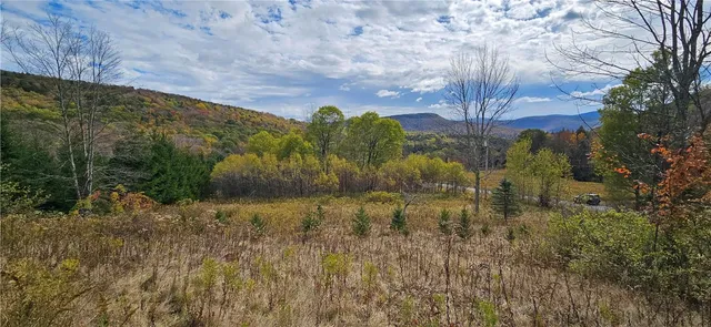 $385,000 | Shaver Hollow, Andes, NY 13731