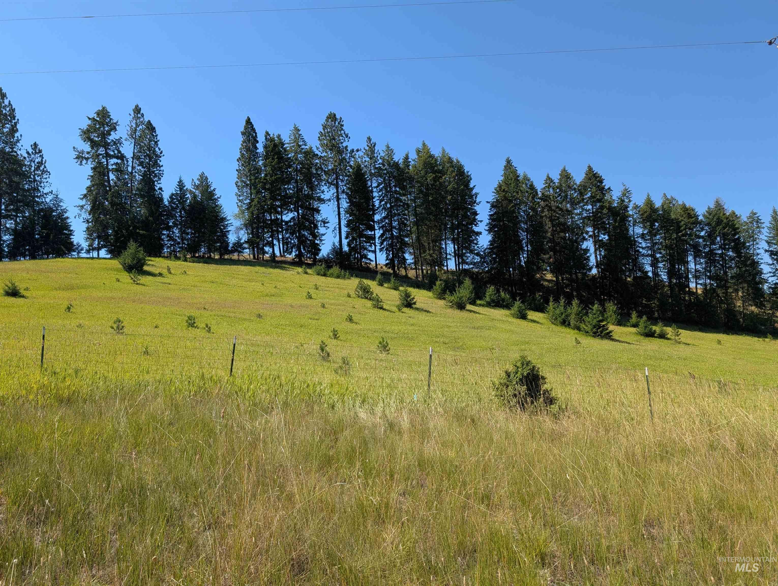 13 Red Fir Road Kooskia, ID 83539 - Photo 15 of 24
