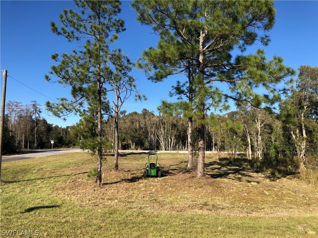 2800 Meadow Road Lehigh Acres, FL 33913 - Photo 1 of 4 a view of road with trees