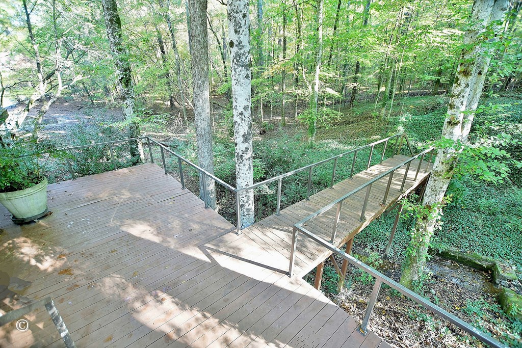 5656 Hamilton Road Pine Mountain, GA 31822 - Photo 45 of 86 Lower Deck