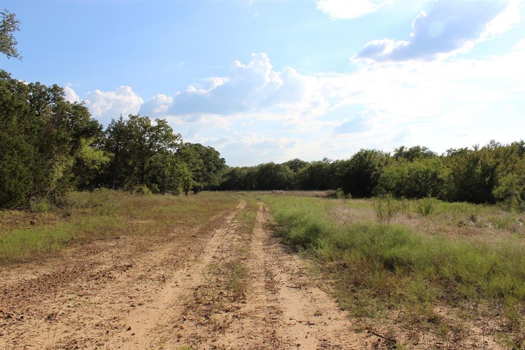 4996 State Highway South Graham, TX 76450 - Photo 11 of 14 View of street featuring a forest view