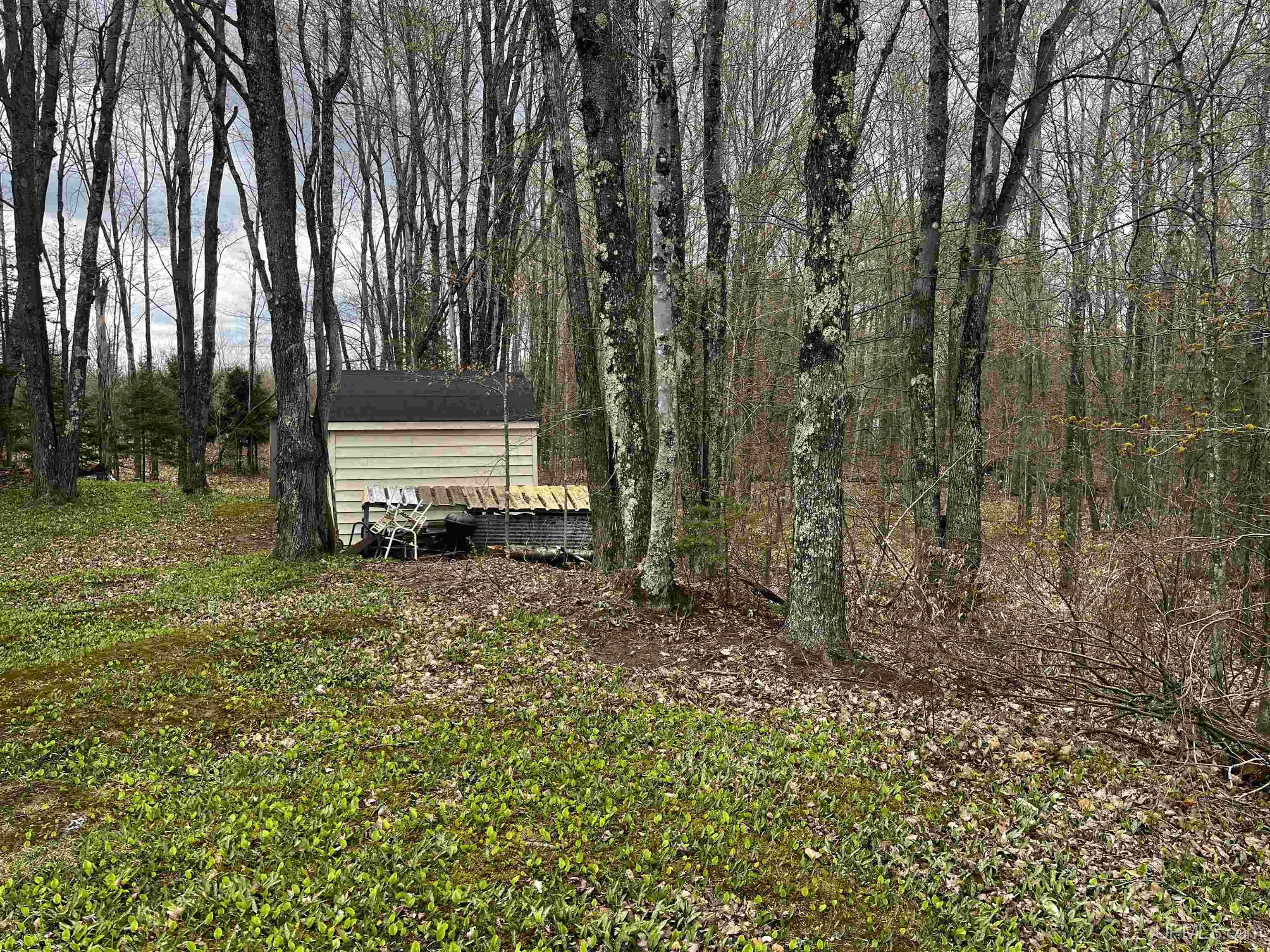 3946 East Storm Road Chatham, MI 49816 - Photo 7 of 37