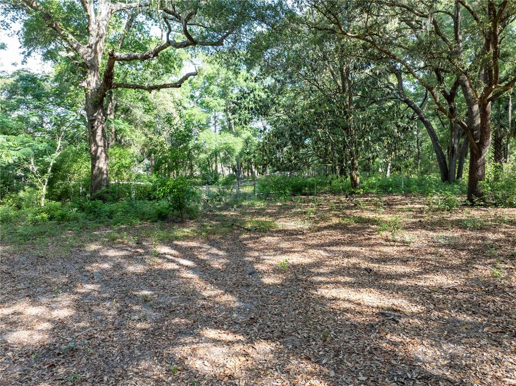 249 Keuka Road Interlachen, FL 32148 - Photo 19 of 49 Gallery Image 19