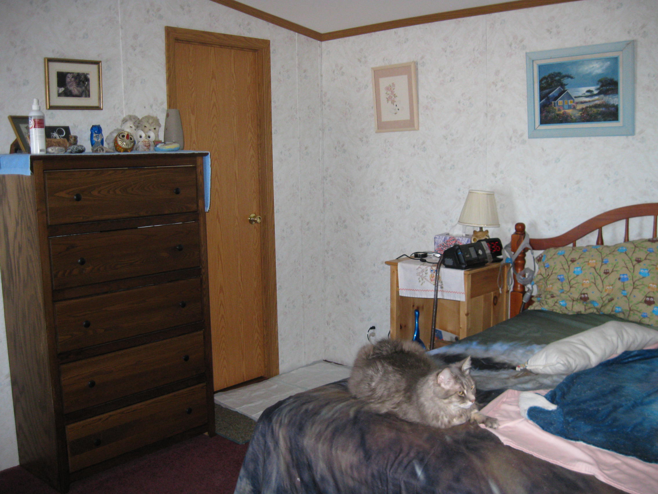 153 Wiers Road Palmyra, ME 04965 - Photo 8 of 14 IMG_2418