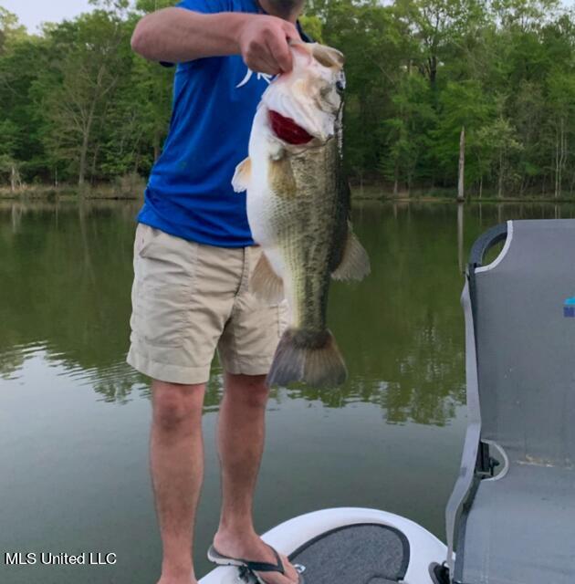 138 Chestnut Hill Road Flora, MS 39071 - Photo 14 of 14 bass pic