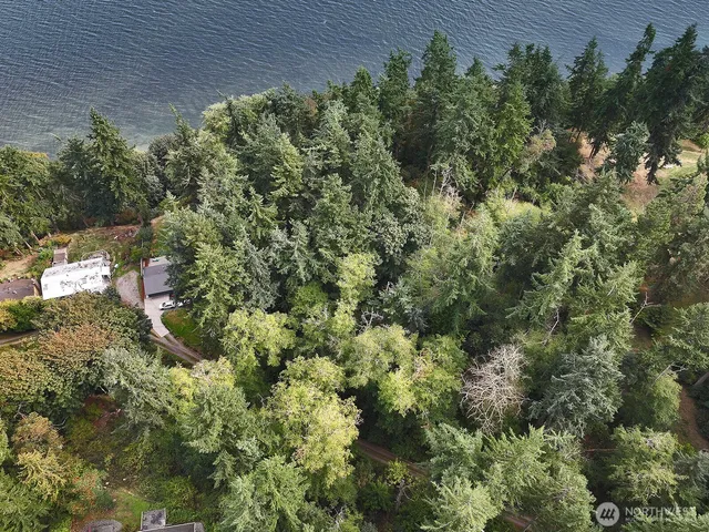 an aerial view of residential house with outdoor space and trees all around