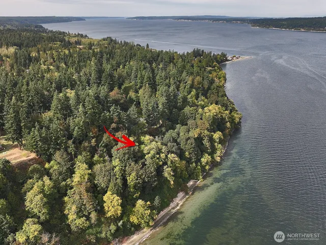 a view of a forest from a balcony