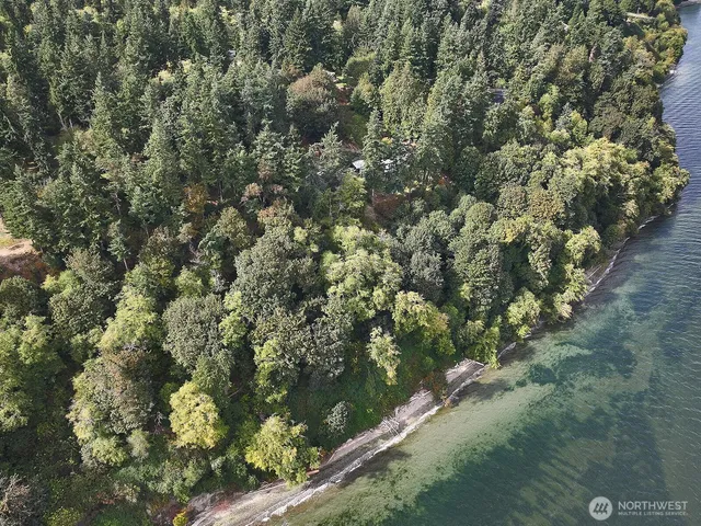 a view of a lake from a yard