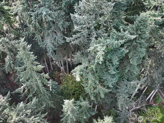 an aerial view of residential house with outdoor space and trees all around