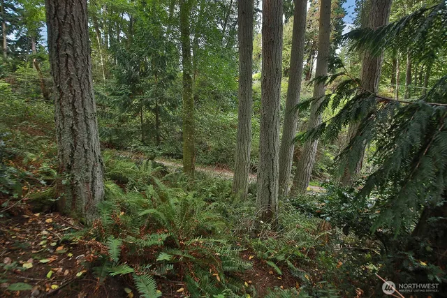an aerial view of residential house with outdoor space and trees all around