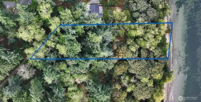 a view of a field with a tree