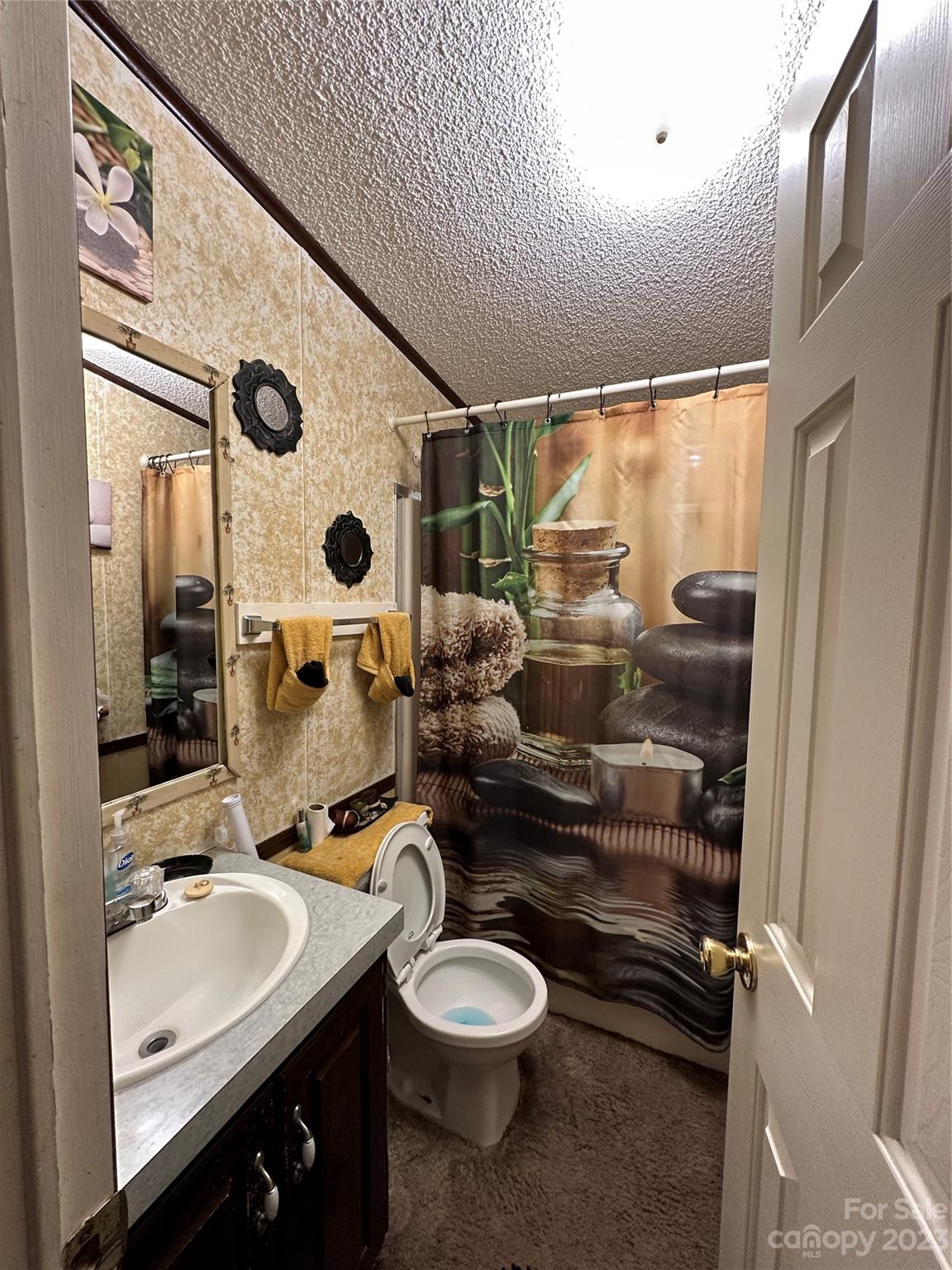 7289 Pyramid Road Hickory, NC 28602 - Photo 10 of 17 a bathroom with a sink and a mirror