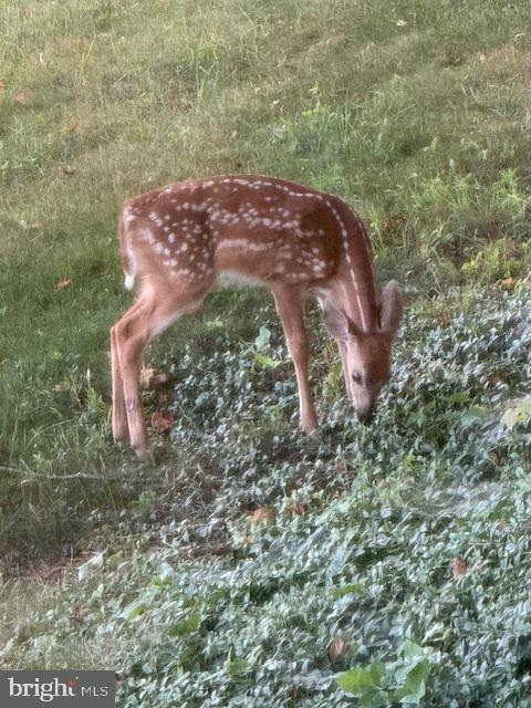 901 Look About Road Westminster, MD 21158 - Photo 55 of 57