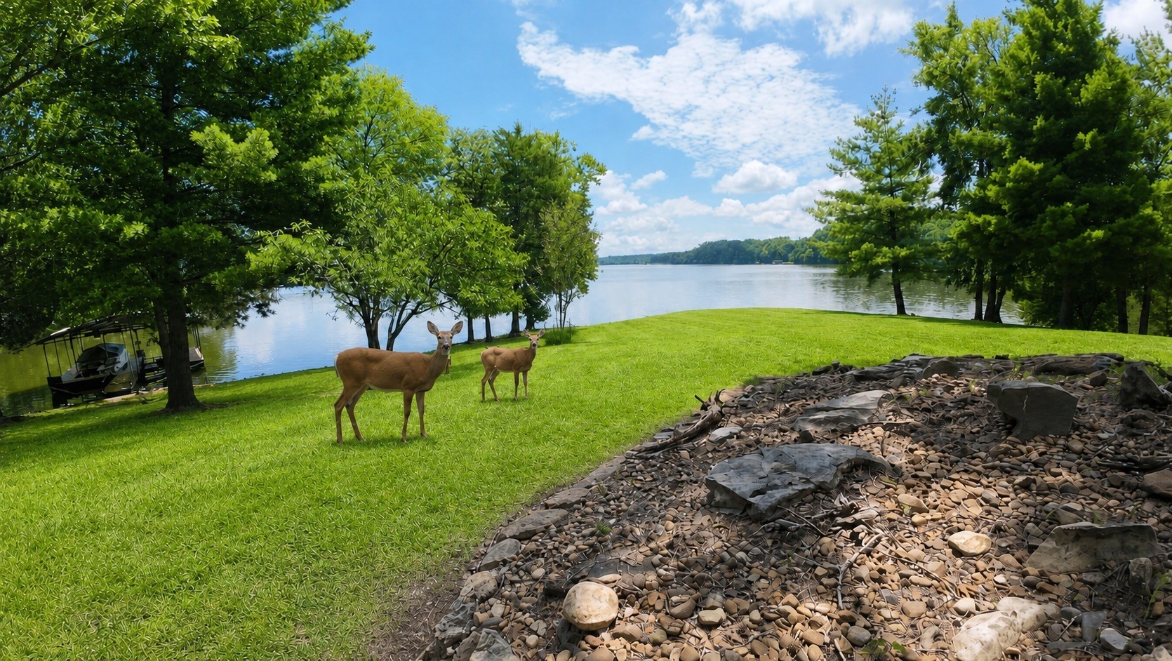 897 Summit Point Cadiz, KY 42211 - Photo 60 of 60