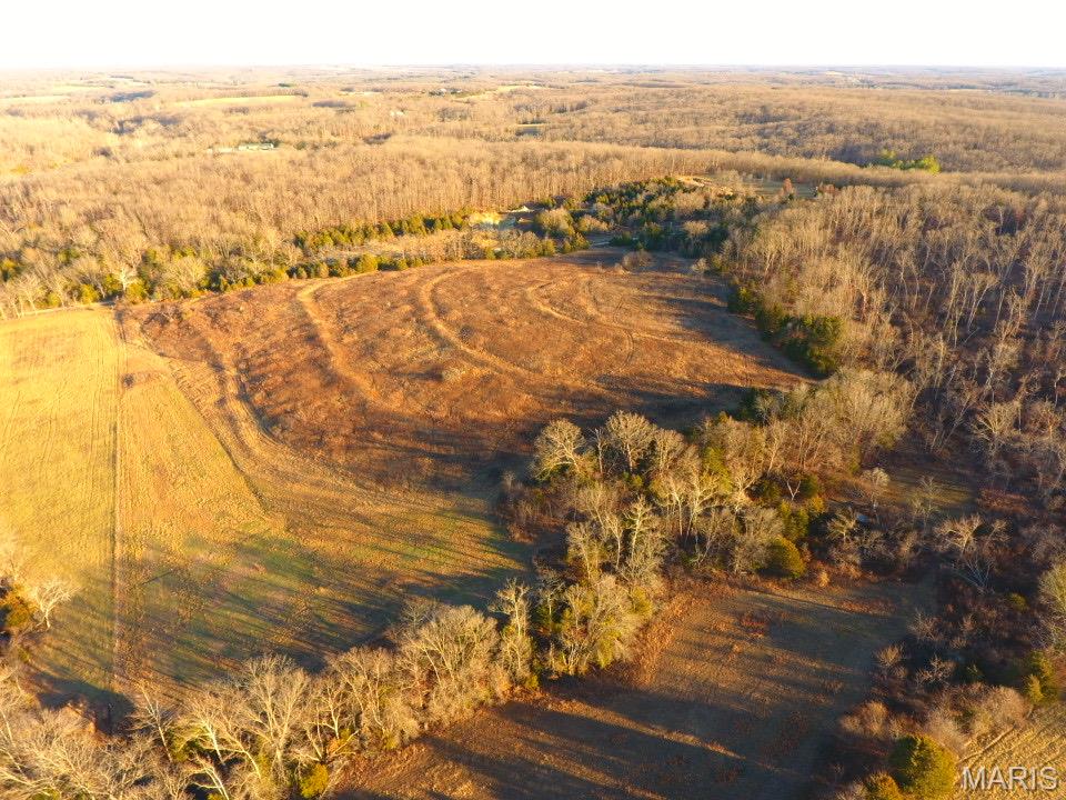 Tbd Van Horn Road Bland, MO 65014 - Photo 25 of 47