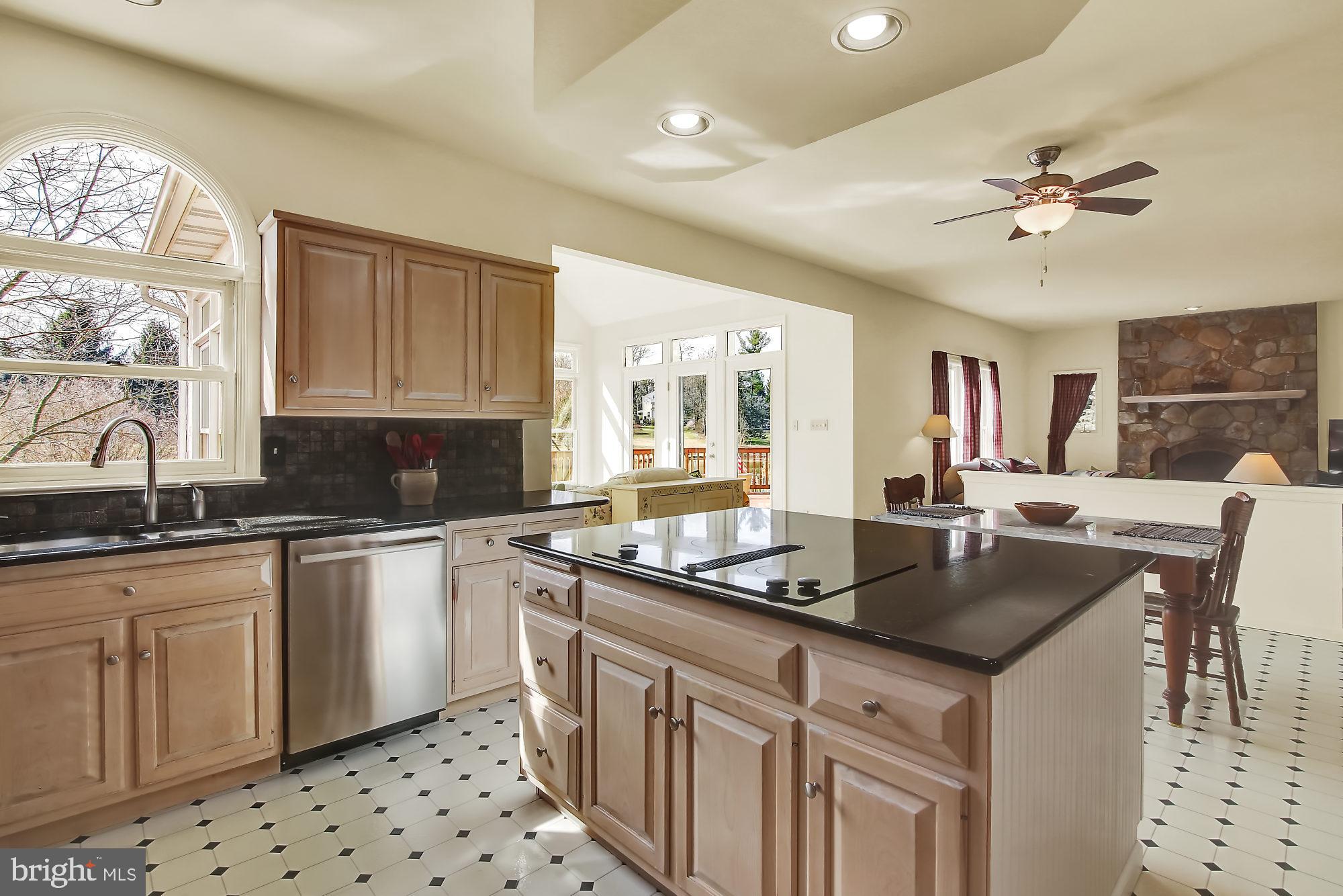 603 Aberdeen Road Kennett Square, PA 19348 - Photo 13 of 32 Gorgeous Granite Countertops