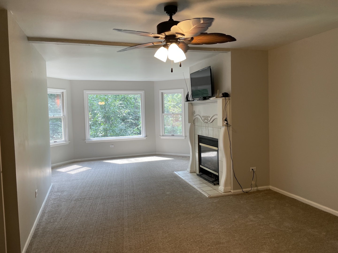 32 Braeburn Drive Park Forest, IL 60466 - Photo 8 of 18