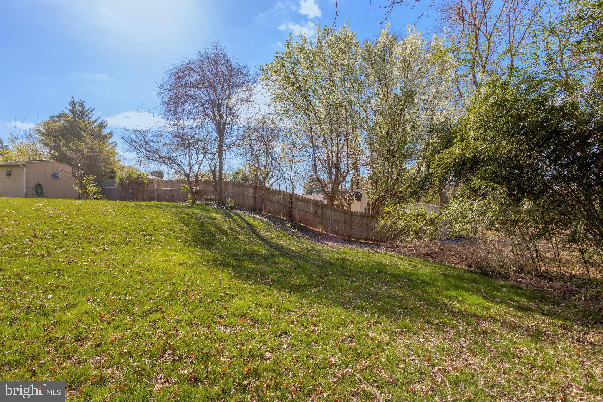 5008 Backlick Road Annandale, VA 22003 - Photo 5 of 14 a view of yard with swimming pool and green space