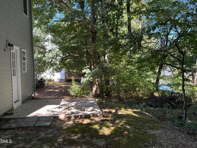 a view of a yard with plants and large trees