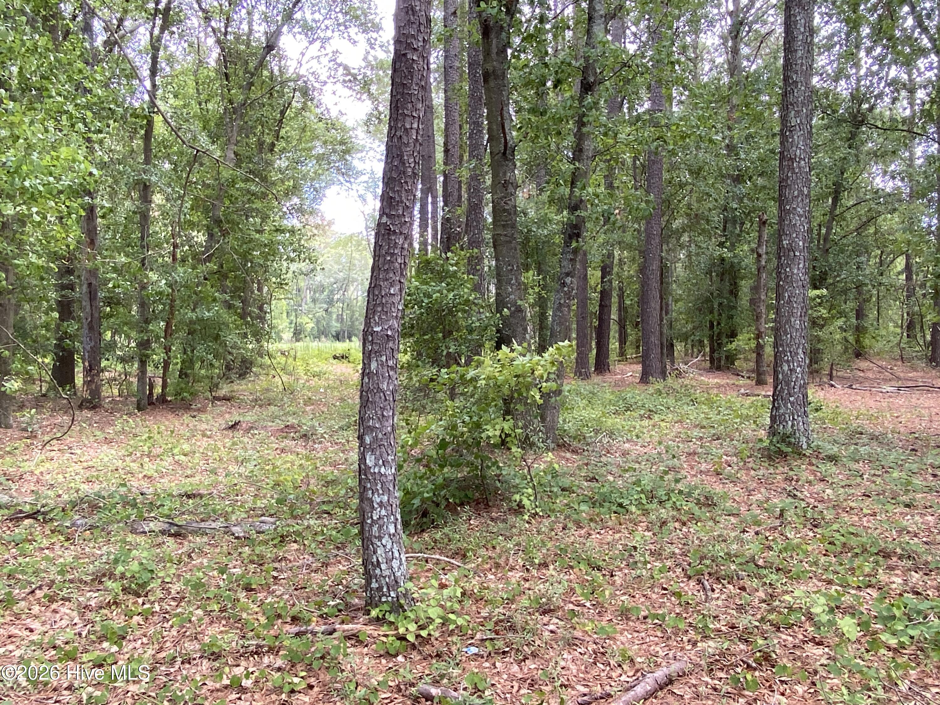 Tbd Hayne Stretch Road Roseboro, NC 28382 - Photo 22 of 31