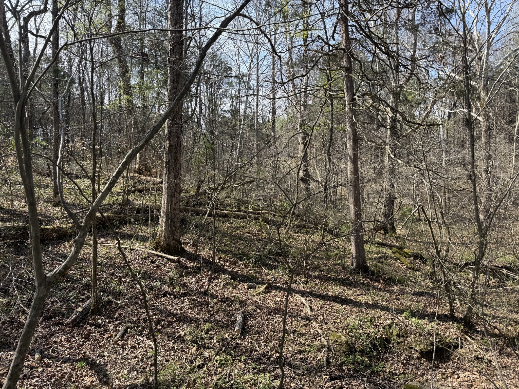 335 Nelson Cemetery Road Monroe, TN 38573 - Photo 78 of 81 Gallery Image 78