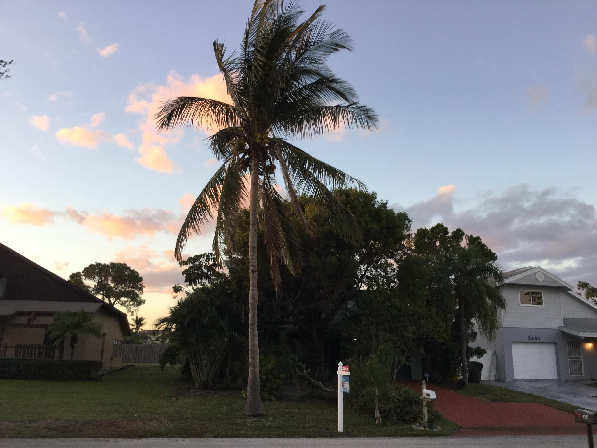 Beautiful far view