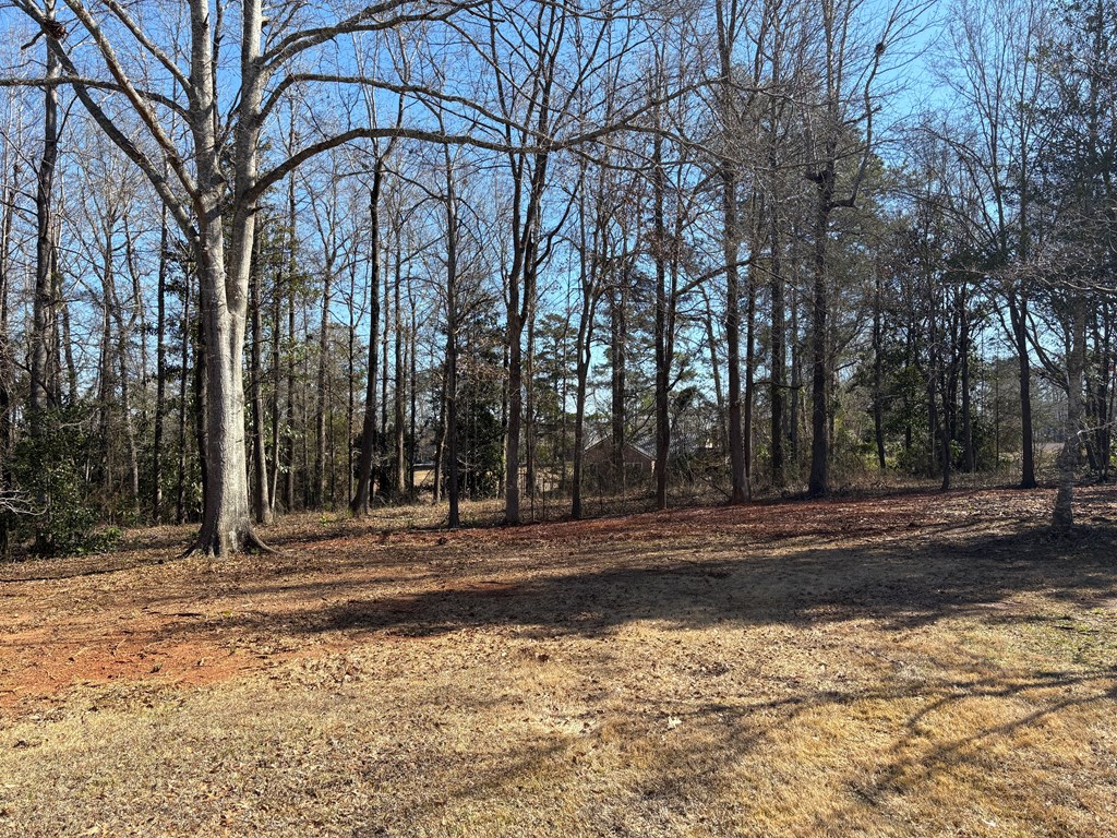 2502 13th Avenue Valley, AL 36854 - Photo 50 of 56 a view of a yard with large trees
