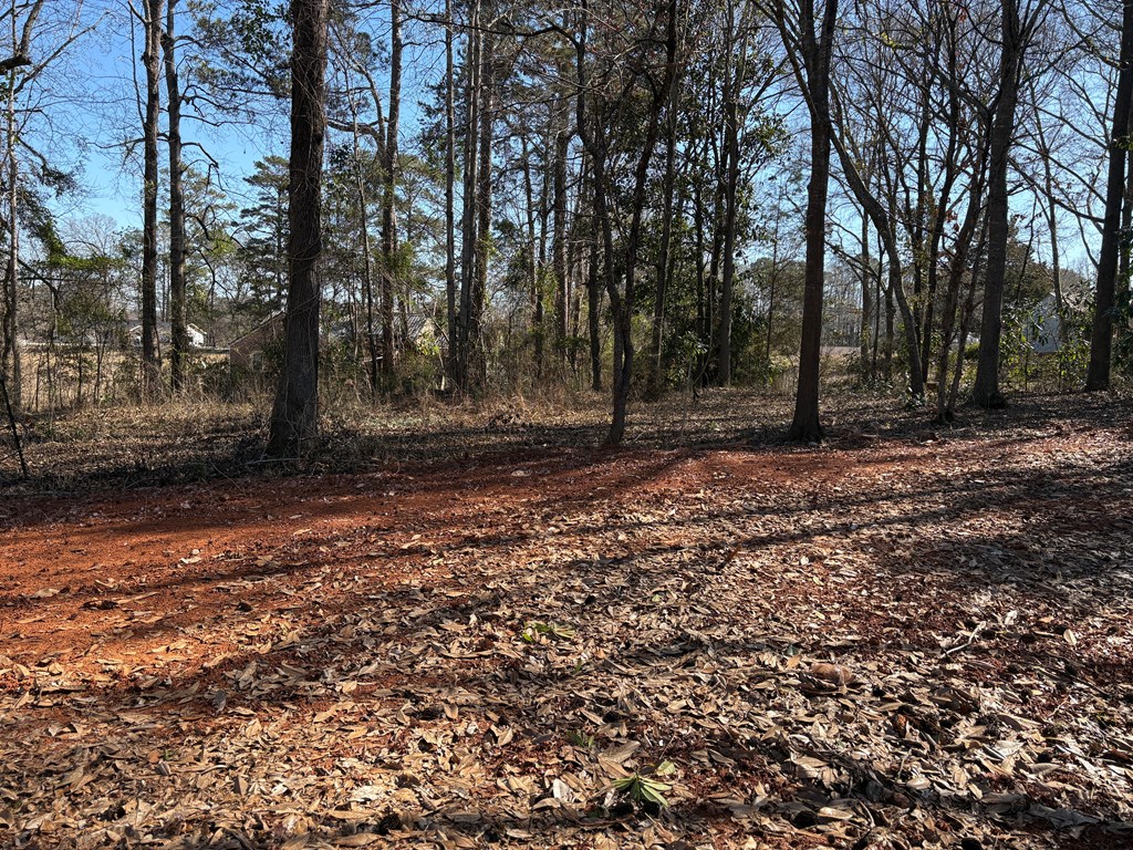 2502 13th Avenue Valley, AL 36854 - Photo 51 of 56 a backyard of a house with lots of green space