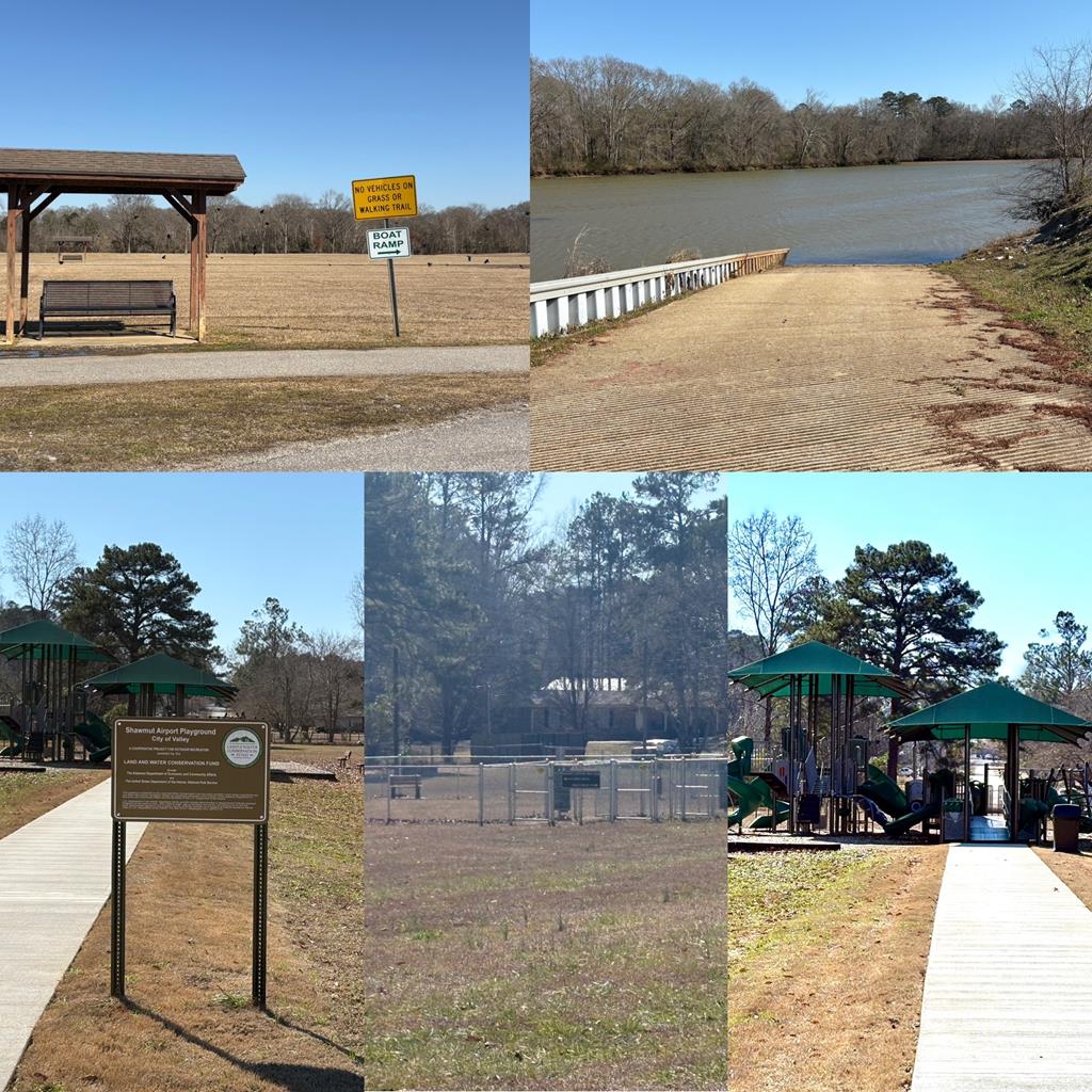 2502 13th Avenue Valley, AL 36854 - Photo 56 of 56 a view of a swimming pool with a patio