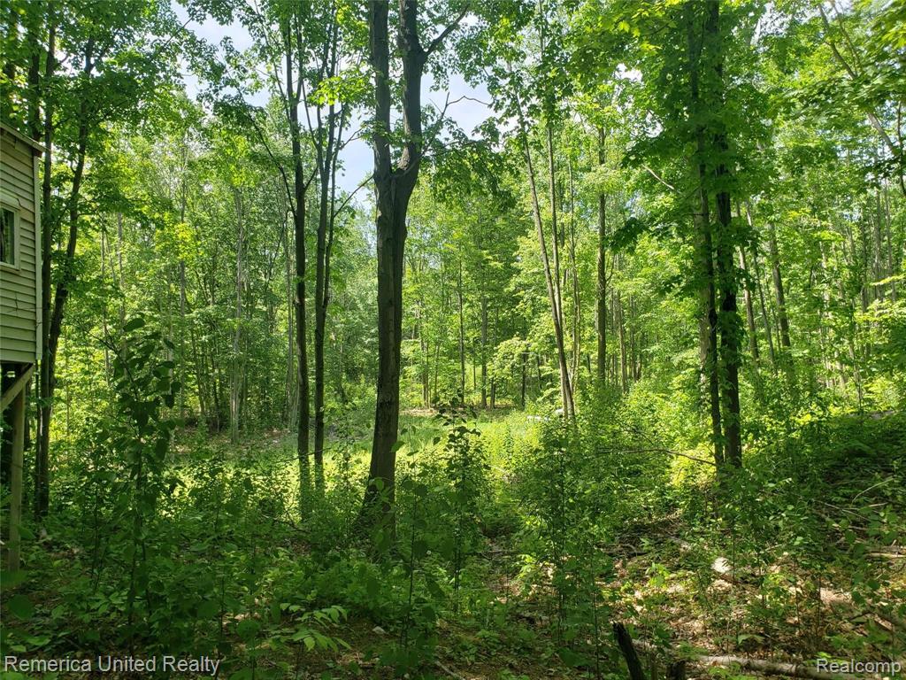 2469 East Spruce Road Spruce, MI 48762 - Photo 14 of 48